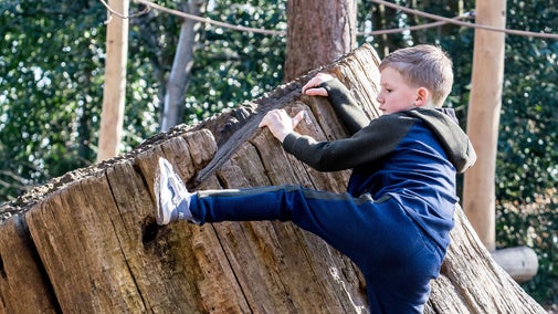 Boy climbing a large tree stump in Badgers Basecamp at Claremont Landscape Garden
